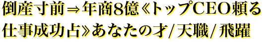 ≪仕事成功占≫あなたの才/天職/飛躍 ≪仕事成功占≫あなたの才/天職/飛躍